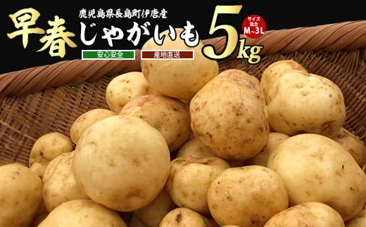 
            【先行予約】＜数量・期間限定＞ホックホク甘さがある伊唐産早春じゃがいも(約5kg)【旬感foods】 horino-7075
          