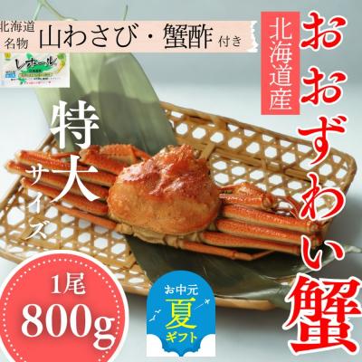 ふるさと納税 紋別市 【お中元】【北海道産】特大サイズ オオズワイガニ姿　800g以上1尾 | 蟹酢・山わさび付　かに　お