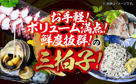 【何が届くかお楽しみ】旬の海の幸 福袋 寄附額1万円相当 魚介類 海産物 海鮮 刺身 広島 江田島市/七宝丸[XBY004]刺し身海鮮魚介類セット刺身