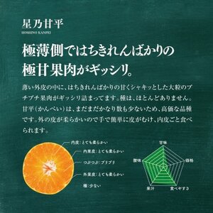 星乃みかん園の星乃甘平(3.5kg)【E45-46】【1339329】