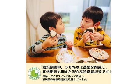 【日本農業賞大賞】厳選プレミアム米3kg精白米(特別栽培米コシヒカリ)【定期便3カ月連続】