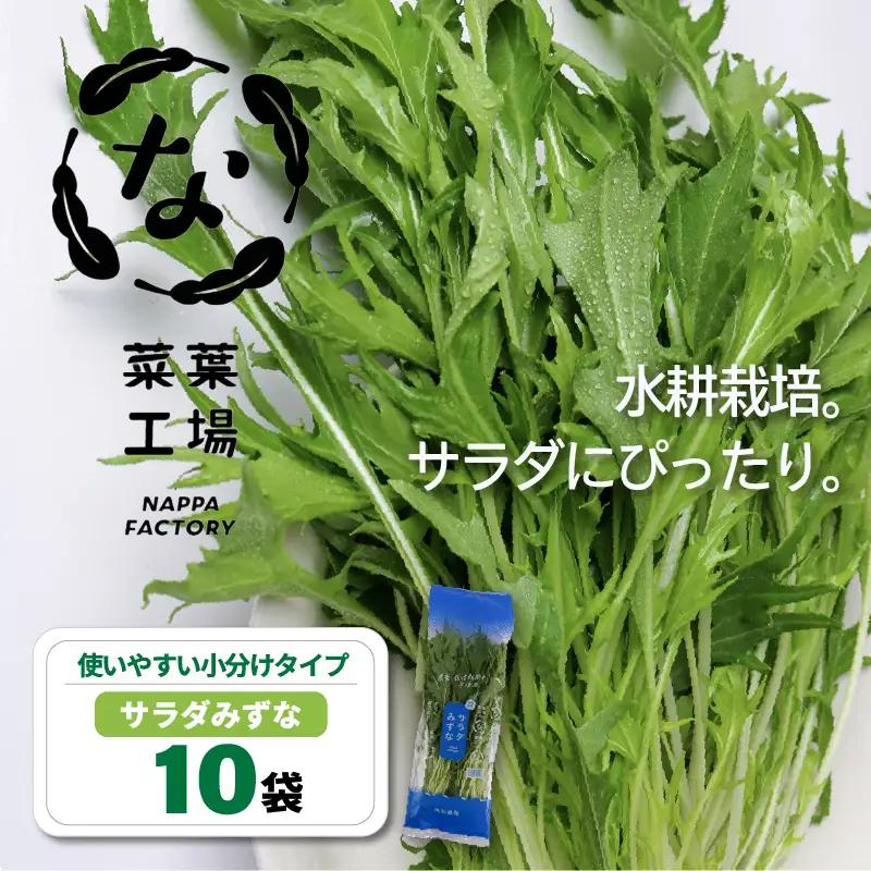 サラダみずな サラダセット | 水菜 水耕 栽培 新鮮 葉物 野菜 ドレッシング 南国市