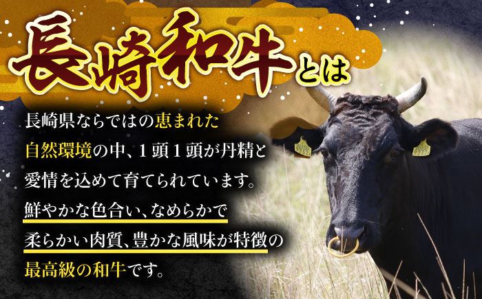 【6回定期便】長崎和牛ヒレステーキ 約300g(150g×2枚)【株式会社 黒牛】 [OCE003] / 牛肉 国産牛 肉 ひれ フィレ ヘレ すてーきにく