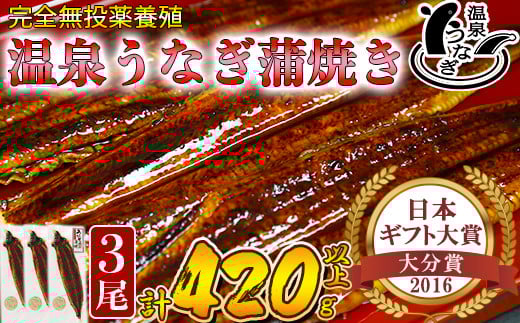 
温泉うなぎ蒲焼 3尾（140gサイズ） 国産うなぎ 人気 国産 蒲焼 蒲焼き かば焼き 鰻屋 個包装 冷凍 真空 ＜104-008_5＞
