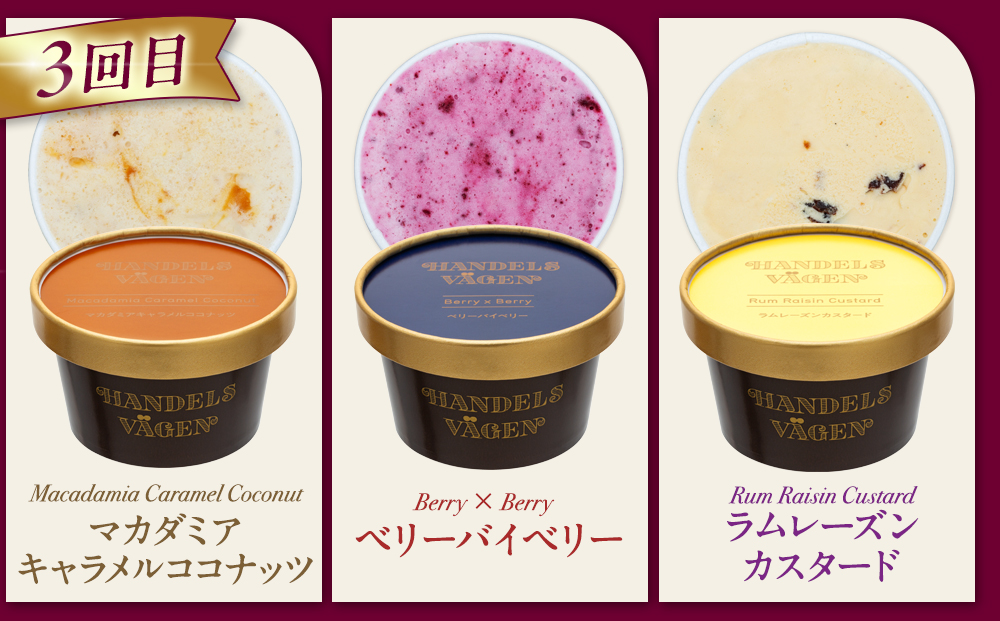 【全３回 / 定期便】ハンデルスベーゲン 無添加アイスクリーム / カップアイスクリーム6個×全3回  全18個 毎月届く バニラ 抹茶 ピスタチオ あまおう ラムレーズン
