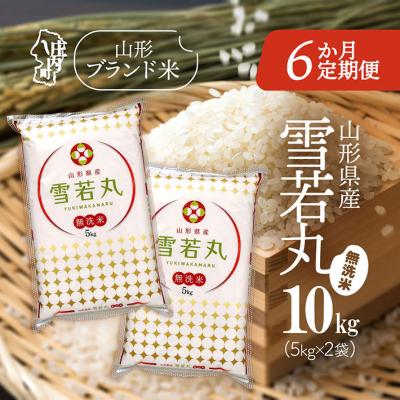 ふるさと納税 庄内町 【6か月定期便】山形米 雪若丸無洗米 10kg【8月中旬発送】
