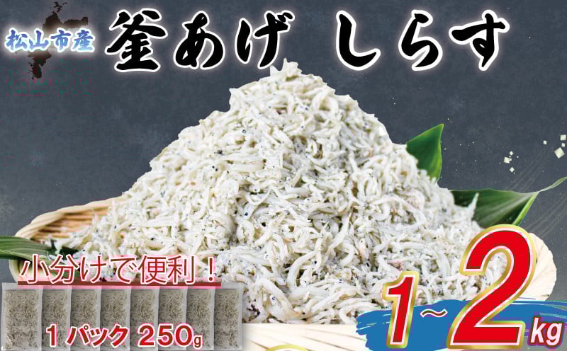 
            釜揚げ しらす  【訳あり】1kg~2kg 【家庭用】1.5kg 【贈答用】1.25kg |  訳ありしらす 不揃いシラス 国産しらす 冷凍シラス 釜揚げしらす シラス丼 海の幸 松山市産しらす 愛媛県産シラス しらす シラス 釜揚げしらす 惣菜 弁当 簡単調理 ごはんのお供 加工品  海の幸 しらす丼 グルメ 食品 魚介 小魚 魚 鮮魚 海鮮  シラス 卵 たまご 訳あり商品  愛媛県 松山市
          