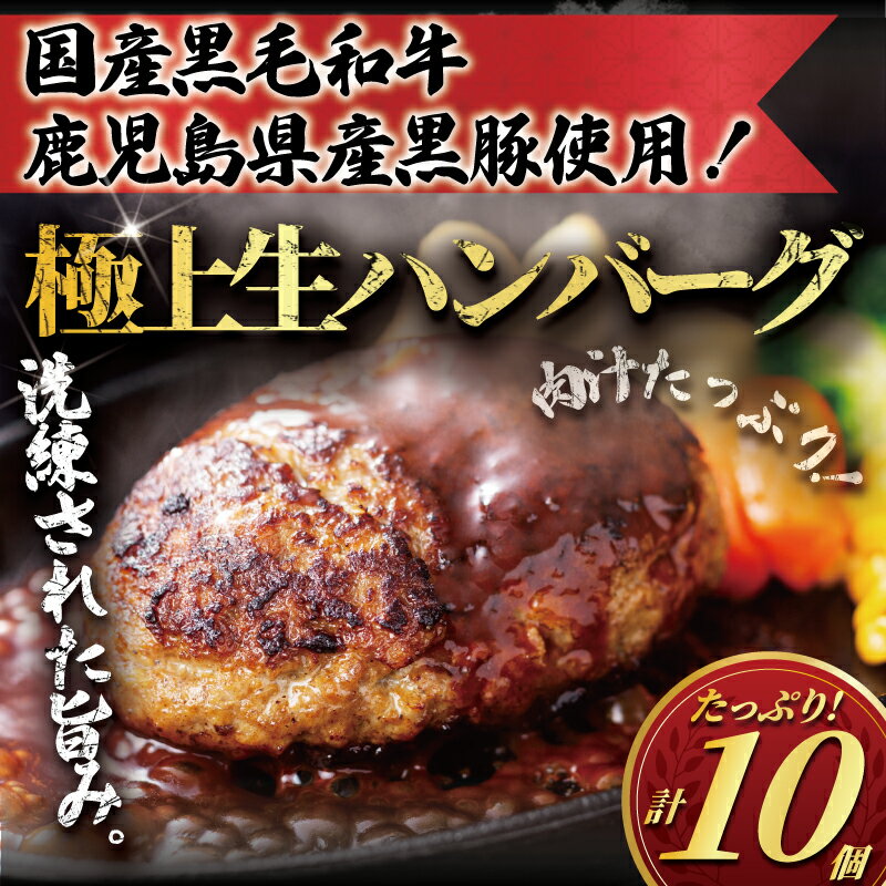【ふるさと納税】 ハンバーグ 10個 計1.2kg 国産 黒毛和牛 黒豚 A4 A5ランク 肉 にく 食品 手作り はんばーぐ 惣菜 冷凍 和牛 豚肉 牛肉 ぶたにく ぎゅうにく ブランド牛 ブランド豚 niku おかず 小分け 便利 簡単調理 人気 夕食 肉汁 10000円 タカギフーズ 神奈川 湘南 藤沢