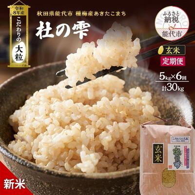 ふるさと納税 能代市 先行予約 新米 玄米 定期便6ヶ月 あきたこまち 5kg 計30kg [No.5335-1510]