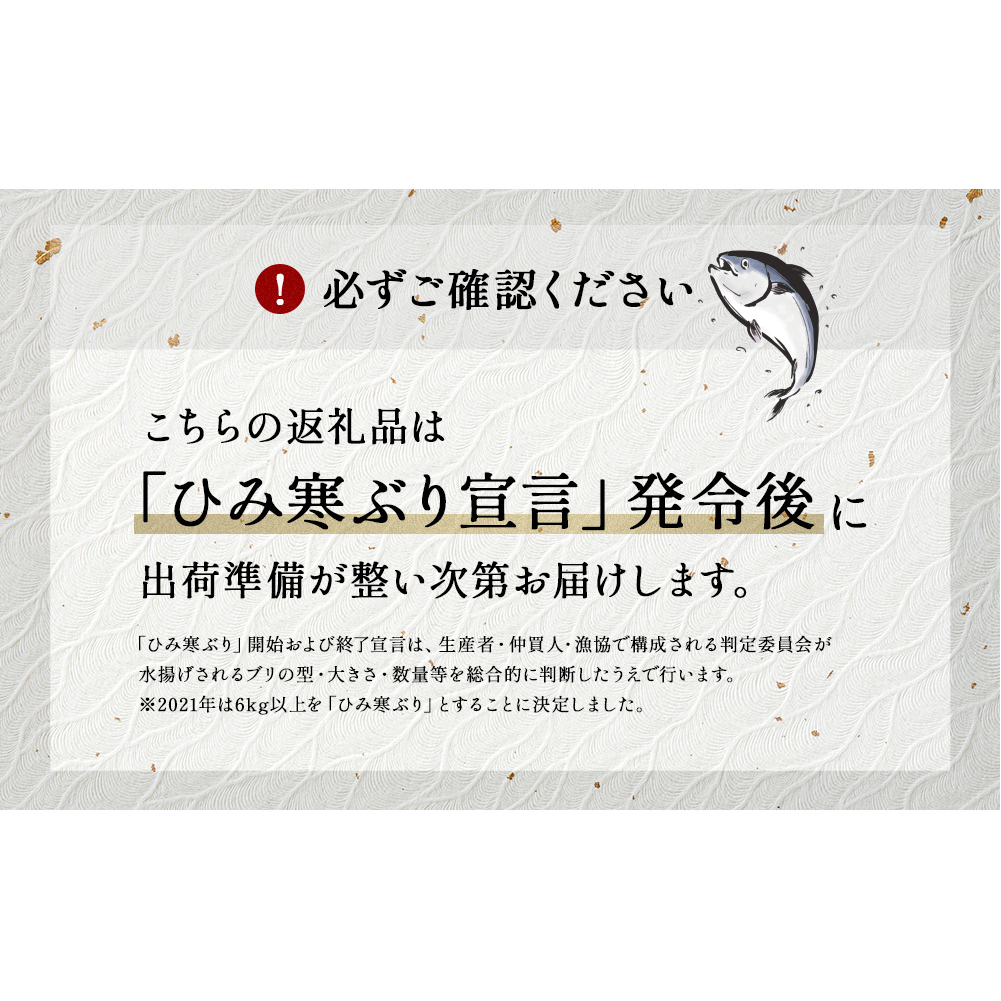 ＜先行予約＞ひみ寒ぶり朝どれ1本【6～8kg】　三枚おろし（神経抜〆）【半七】※配送地域限定