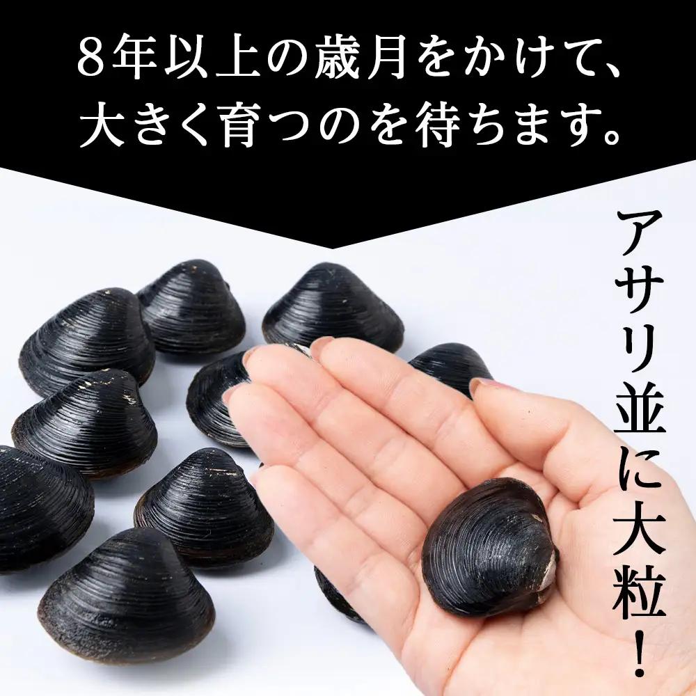天塩町名産冷凍しじみ［特大サイズ］（700g）2パック入り＜北るもい漁業協同組合 天塩支所＞