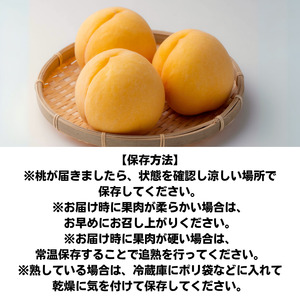 家庭用 黄金桃 3玉 大玉 約900g 岡山県産【先行予約 2025年8月下旬から順次発送】