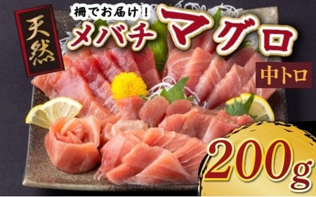 天然メバチマグロ 中トロ200g【マグロマグロマグロマグロ】