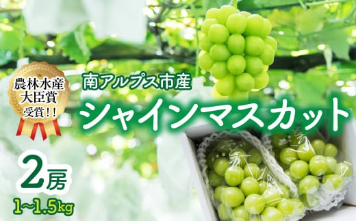 ＜2026年発送先行予約＞【農林水産大臣賞受賞!!】シャインマスカット 2房 1～1.5kg　ALPAS004