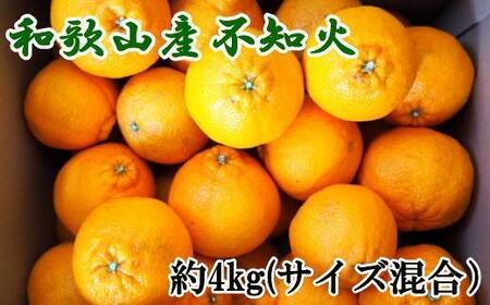 和歌山県産不知火約4kg（サイズ混合）★2025年2月下旬～3月下旬発送【TM130】