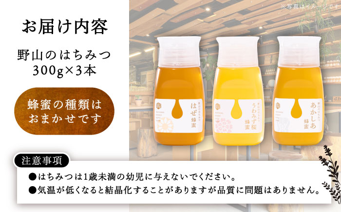 東美濃厳選「季節のはちみつ味わいボトルセット」/ はちみつ ハチミツ 蜂蜜 / 恵那市 / 堀養蜂園 [AUCO003]