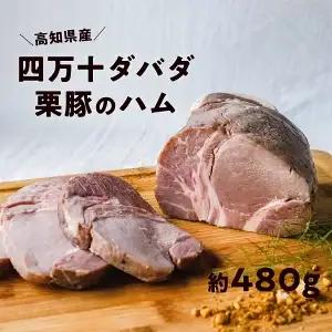 四万十ダバダ火振栗豚 ハム 約480g｜高知県産 ブランド豚 無添加 熟成 冷凍 国産 ブロック