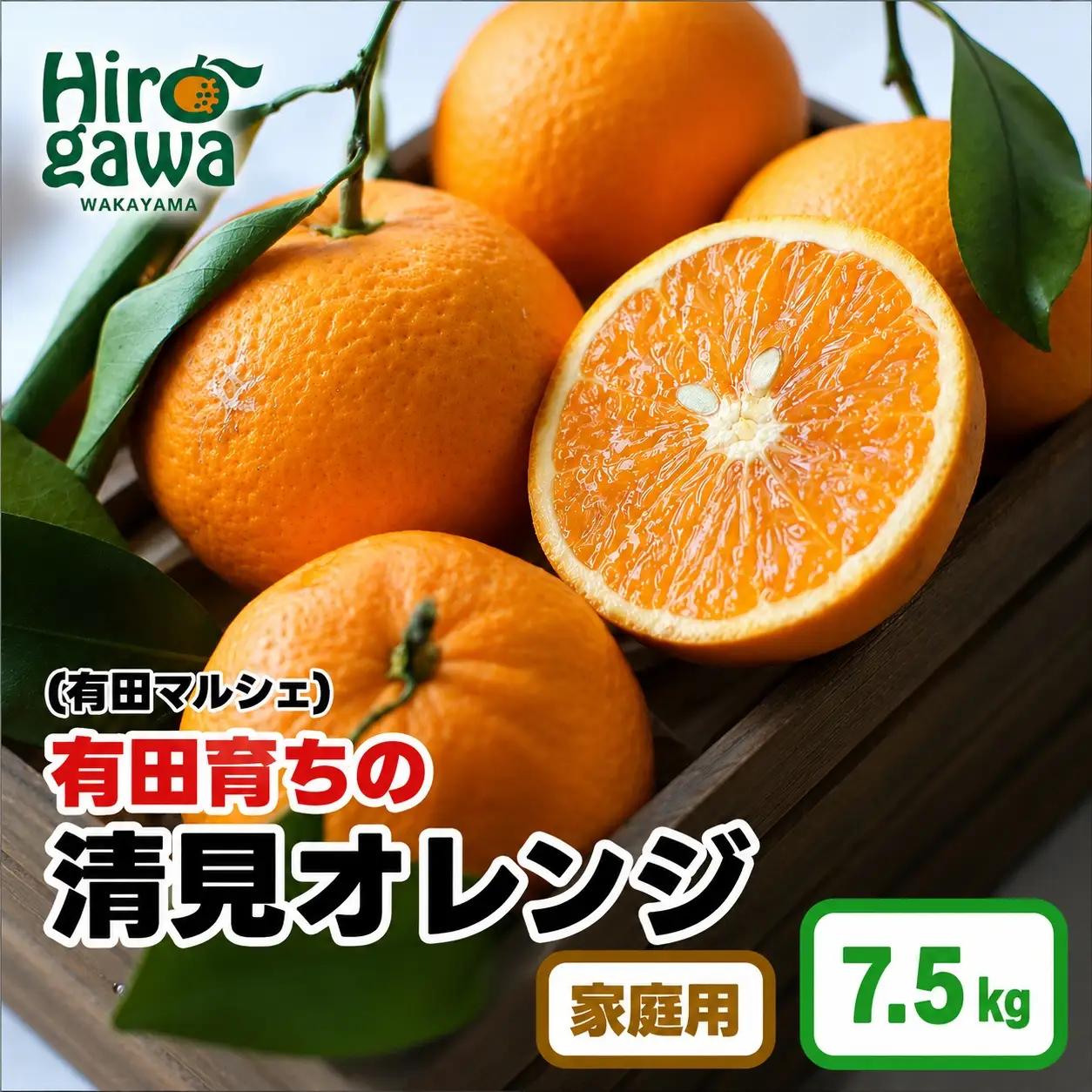 【産地直送】 有田 育ちの ご家庭用 完熟 清見 オレンジ 7.5kg+200g(補償分)  / みかん 甘い オレンジ フルーツ 果物 有田 和歌山 ※2027年2月下旬～5月上旬に順次発送 ※北海道・沖縄・離島への配送不可 【ard011-c-7d5C】