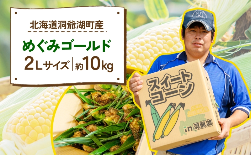 北海道産 青野農園 めぐみ ゴールド 2Lサイズ 約10kg 先行受付 8月下旬頃お届け スイートコーン 北海道 とうもろこし トウモロコシ コーン 恵味 旬 朝採れ 新鮮 野菜 農作物 産地直送 甘