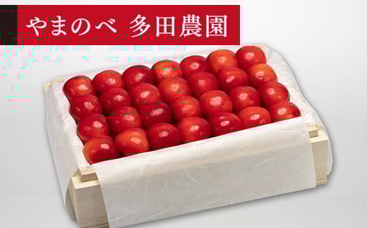 ≪2025年 先行予約≫さくらんぼ 特選紅秀峰 桐箱詰 約500g「やまのべ多田農園」 F2Y-1389