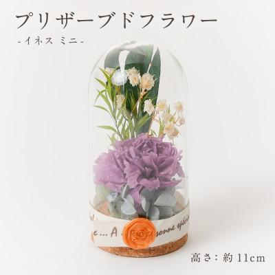 ふるさと納税 羽島市 プリザーブドフラワー ガラスドーム型アレンジ 【イネス ミニ(パープル)】