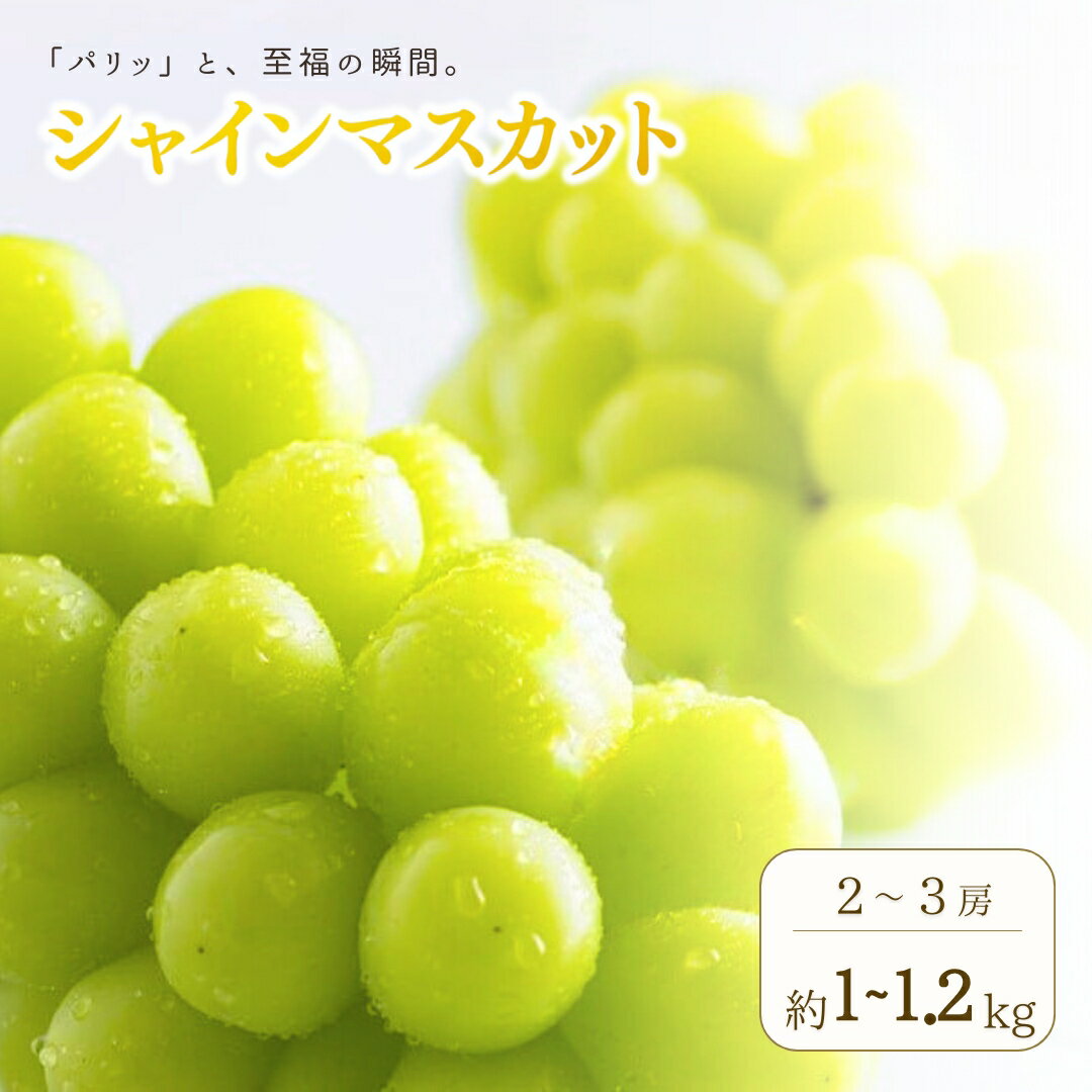 【ふるさと納税】【2026年先行予約】シャインマスカット 約1kg ~ 1.2kg(2房 ~ 3房) ｜果物 フルーツ 白ぶどう 葡萄 ブドウ 種無し 種なし 皮ごと 千曲市 長野県 信州