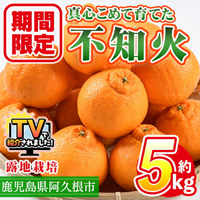 【ふるさと納税】＜先行予約受付中！2027年3月上旬以降順次発送予定＞ ＼テレビで紹介されました！／数量限定！鹿児島県産 露地栽培の不知火(計約5kg：大将季) 国産 みかん ミカン 柑橘 フルーツ 果物 旬 デザート 期間限定 しらぬい シラヌイ【三笠農業生産】akn051-10