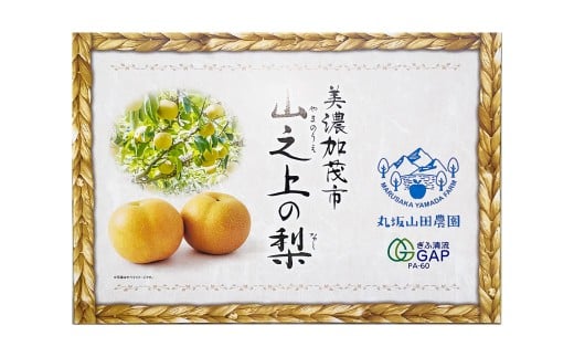 山之上梨 長寿