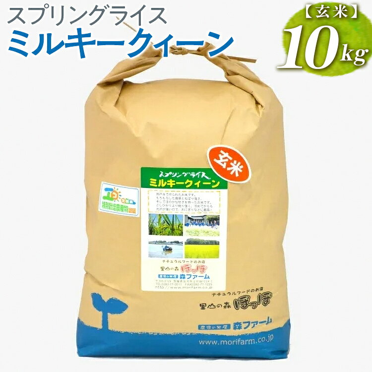 【ふるさと納税】【新米】スプリングライス ミルキークィーン (玄米)10kg ｜米 コメ こめ ごはん ご飯 ゴハン スプリング ライス ミルキー クイーン 水へのこだわり 地下水 10kg 贈答 玄米 ビタミン ミネラル 食物繊維 ギフト プレゼント 贈り物 ※2026年9月〜発送 _BI63