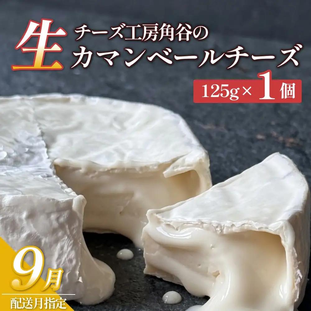 超熟「生」カマンベールチーズ 1個 チーズ工房角谷【9月配送】