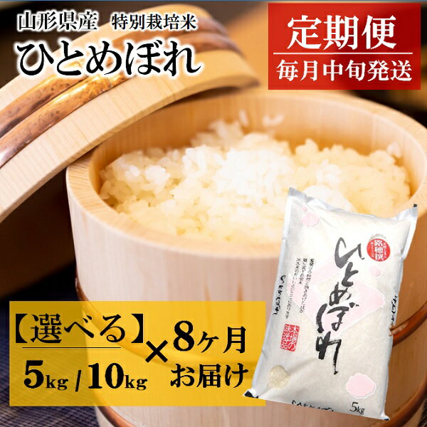 【ふるさと納税】選べる内容量 （5kg・10kg） 令和7年産【定期便8回】竹原田ファームの特別栽培米ひとめぼれ※令和7年1月～令和7年8月お届け
