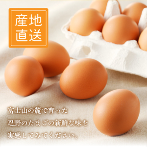 【10月配送分】忍野の平飼い放牧卵30個（25個＋割れ保証5個）