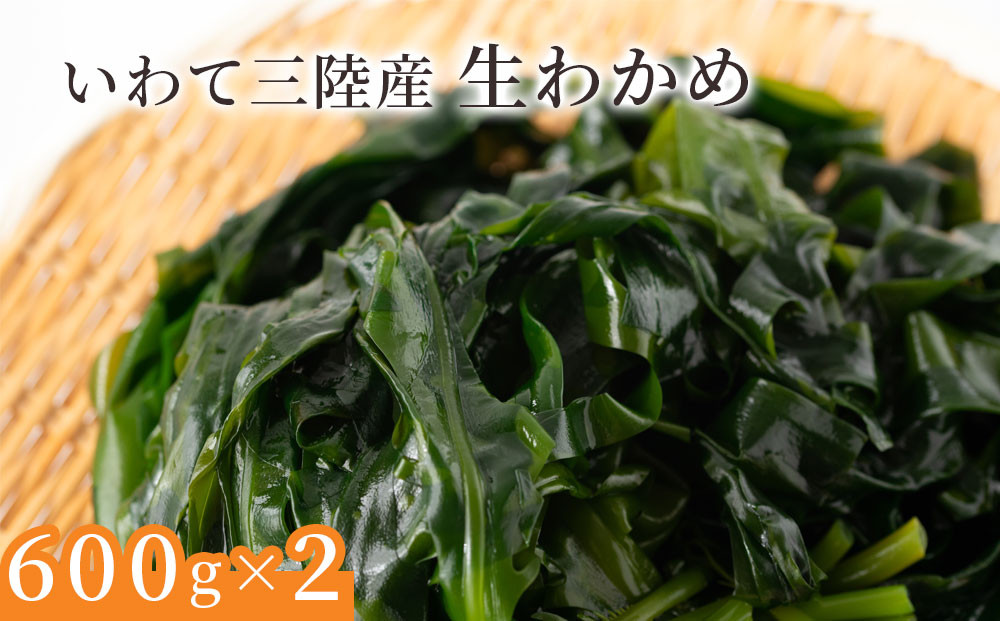 
            fc-39-013 いわて三陸産生わかめ【2月上旬から3月中旬頃お届け便】 ヤマキイチ商店 
          
