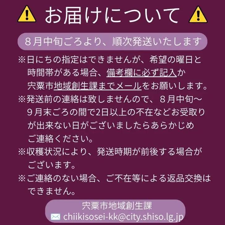 BV1　横野さん家の「完熟ぶどう」の詰合せ　約 1.5㎏ 【 数量限定 ブドウ 葡萄 詰め合わせ セット 贈答 藤稔 紫玉 ピオーネ シャインマスカット ギフト 自宅用 】