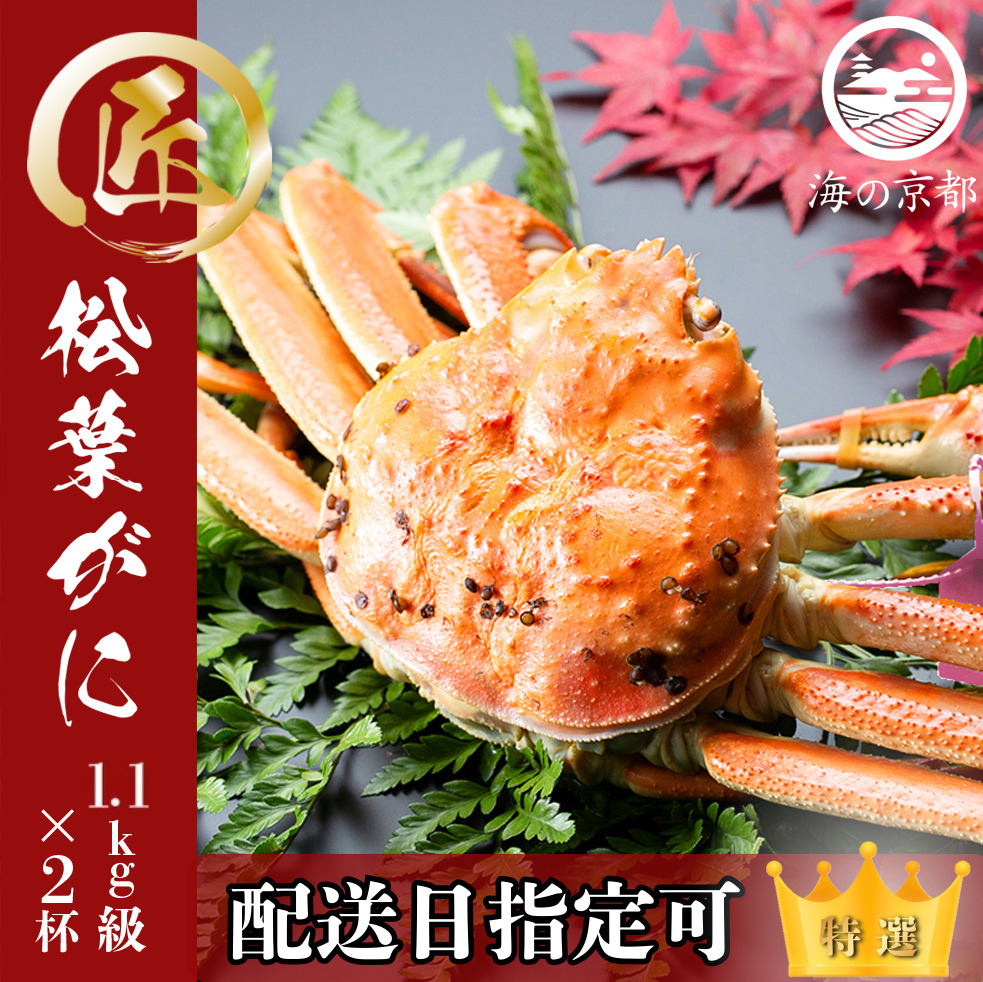 【配送日指定可】茹で松葉蟹 特々大2杯（1,100g級）蟹 カニ かに 松葉蟹 松葉ガニ ズワイガニ ボイル myz05 myz11 myz16
