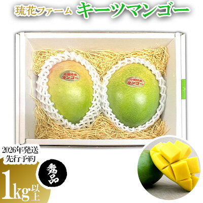 【ふるさと納税】【2026年発送先行予約】キーツマンゴー秀品1kg以上 沖縄 おきなわ まんごー 秀品 贈答用 先行予約 ふるさと納税 送料無料 甘味 糖度 おいしい お土産 キーツ 果物 くだもの 果実 1キロ 箱入り 食べ物 フルーツ