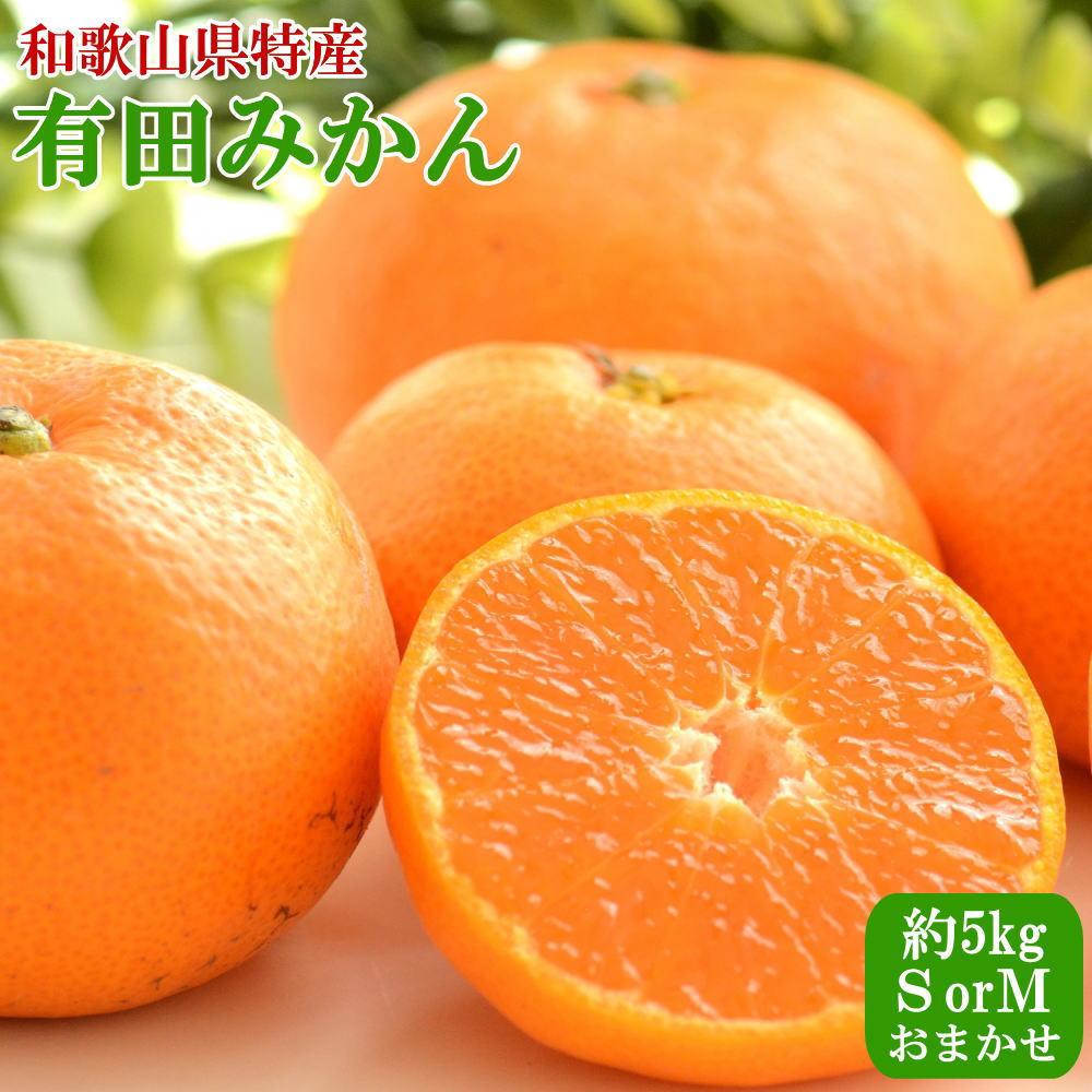 【ふるさと納税】[秀品]和歌山有田みかん約5kg(SまたはMサイズ) ★2025年11月中旬頃より順次発送［TM97］ | 和歌山県 和歌山 高野山 ふるさと 納税 楽天ふるさと 支援 支援品 返礼品 お礼の品 名産 名産品 特産 特産品 みかん ミカン 蜜柑 果物