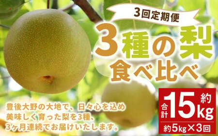 037-1054 【先行予約】【3回定期便】 3種の梨 食べ比べ 定期便 合計 約15kg【2024年9月上旬発送予定】