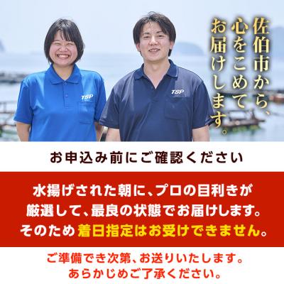 ふるさと納税 佐伯市 <先行予約受付中!2025年12月に順次発送予定>豊後ぶり半身セット (合計1kg以上) |  | 03