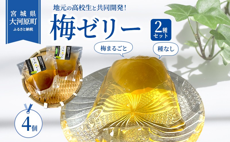 
大河原の梅と清水のゼリー うめ果りり ４個入り
