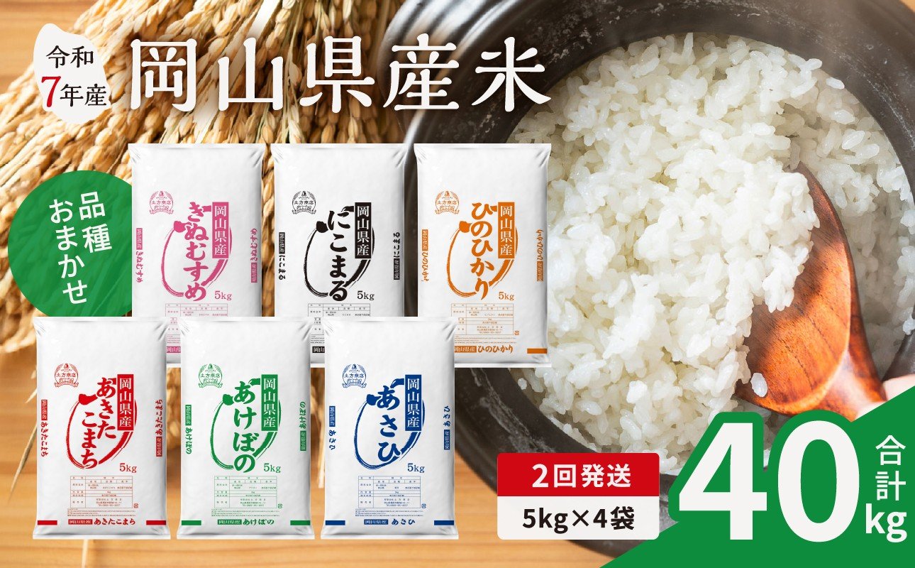 
            【2ヶ月定期便】【令和7年産米】岡山県産米 20kg (5kg×4袋) × 2回　計40kg（令和7年11月上旬以降発送）【定期便 お米 ランダム 配送 ヒノヒカリ にこまる 朝日 アケボノ あきたこまち 令和7年産 米 精米】
          