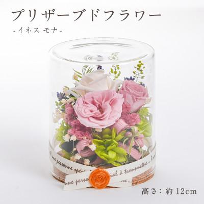ふるさと納税 羽島市 プリザーブドフラワー ガラスケース入りアレンジ 【イネス モナ(ミルキーピンク)】