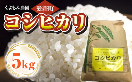 くよもん農園 愛荘町産 コシヒカリ 5kg 令和7年産　白米 精米　AG02