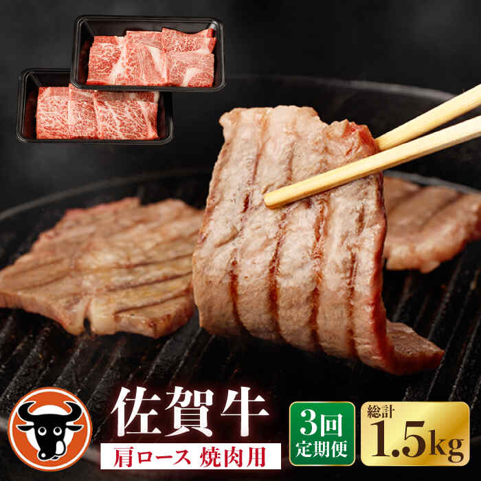 【ふるさと納税】【3回定期便】佐賀牛 肩ロース 焼肉用 計500g（250g×2p） 佐賀県産 黒毛和牛 牛肉 牛 佐賀県嬉野市/一ノ瀬畜産 [NAC152]
