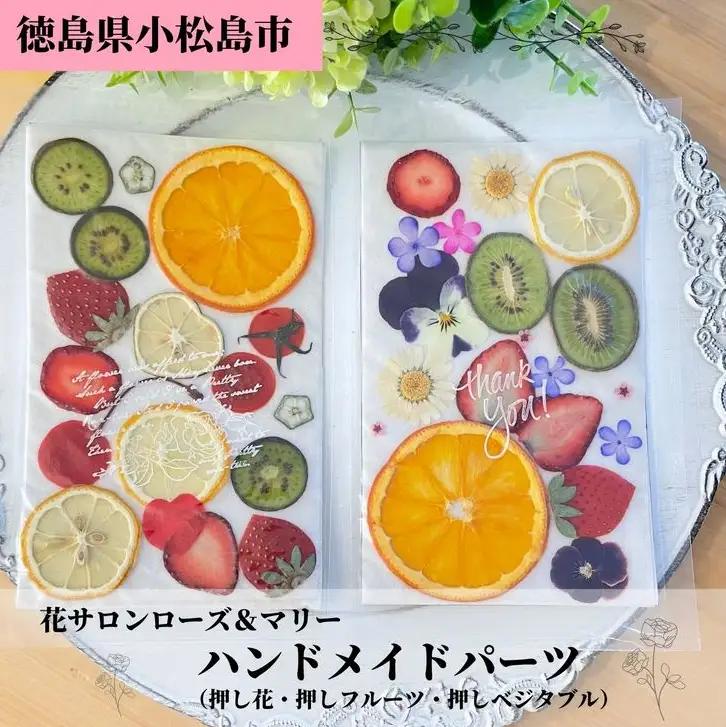 ハンドメイドパーツ 2種 セット押し 花 フラワー ドライフラワー ドライフルーツ ベジタブル
