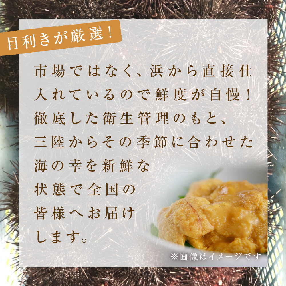  〈先行予約〉生うに ウニ 訳あり 塩水生うに 宮城県産  160g