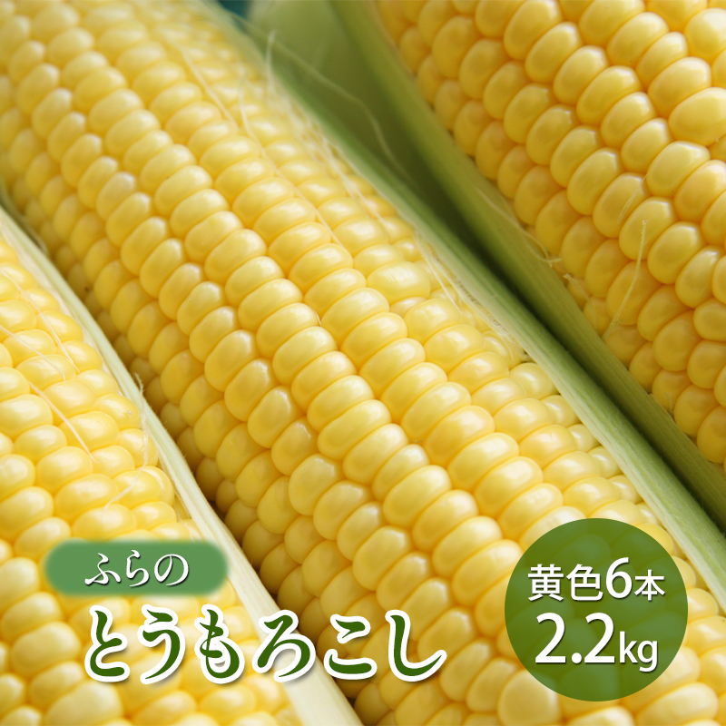 【2026年夏発送】ふらの とうもろこし 黄色 6本 2.2kg 北海道 