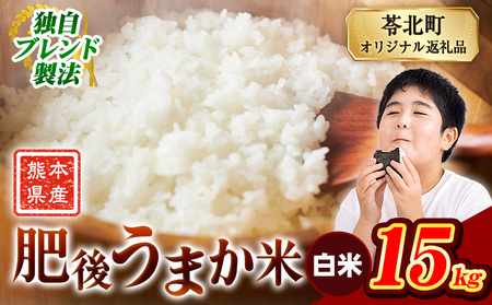 肥後うまか米 熊本県産ブレンド米約15kg(白米) 熊本県産 ふるさと納税 白米 精米 米 こめ コメ お米 おこめ《10月中旬-12月末頃出荷》