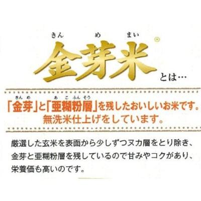 ふるさと納税 安来市 【毎月定期便】BG無洗米・金芽米つや姫 5kg全6回 |  | 01