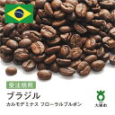 【ふるさと納税】[豆]#128 受注焙煎！310g ブラジル カルモデミナス フローラルブルボン 珈琲豆 コーヒー豆 自家焙煎 | 珈琲 コーヒー カフェ 焙煎 大阪府大東市